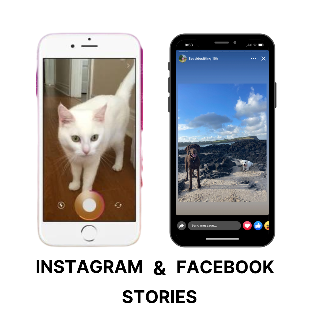 instagram and facebook stories